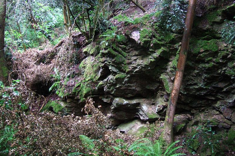 2011-05- (431).JPG